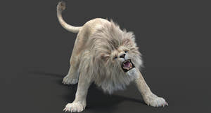 White Lion 3D Model with Fur with Animations Thumbnail