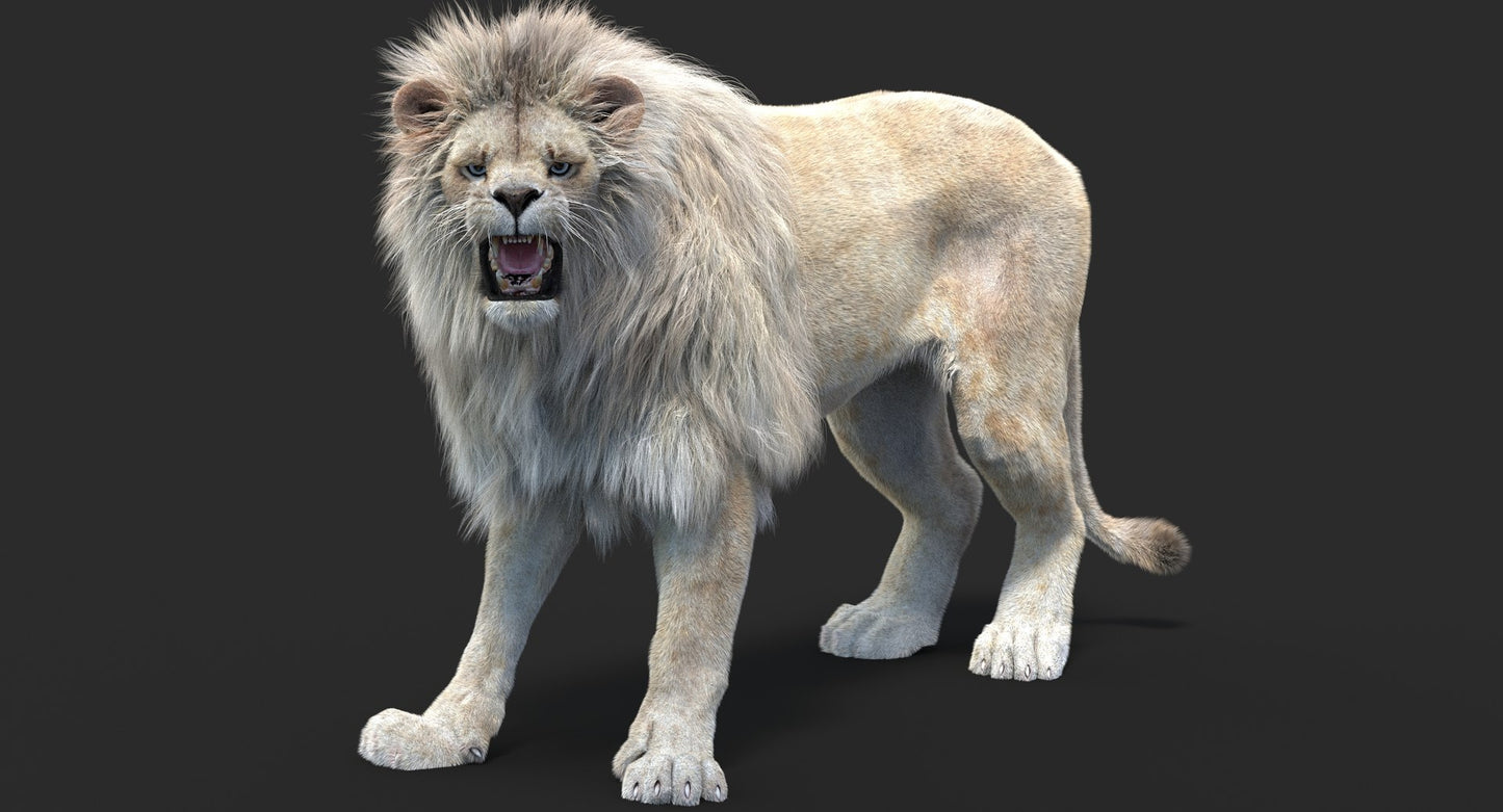 Rigged White Lion with Fur 3D Model
