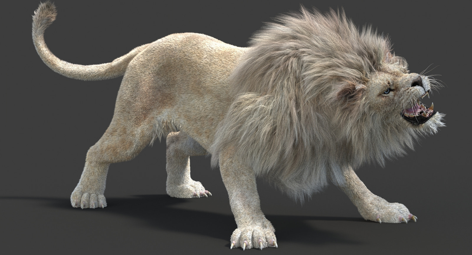 Animated White Lion 3D Model with Fur for Your Rendering Projects