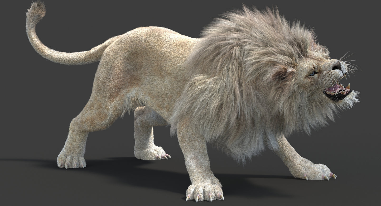 Animated White Lion 3D Model Fur