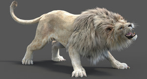 Rigged White Lion 3D Model with Realistic Fur Thumbnail
