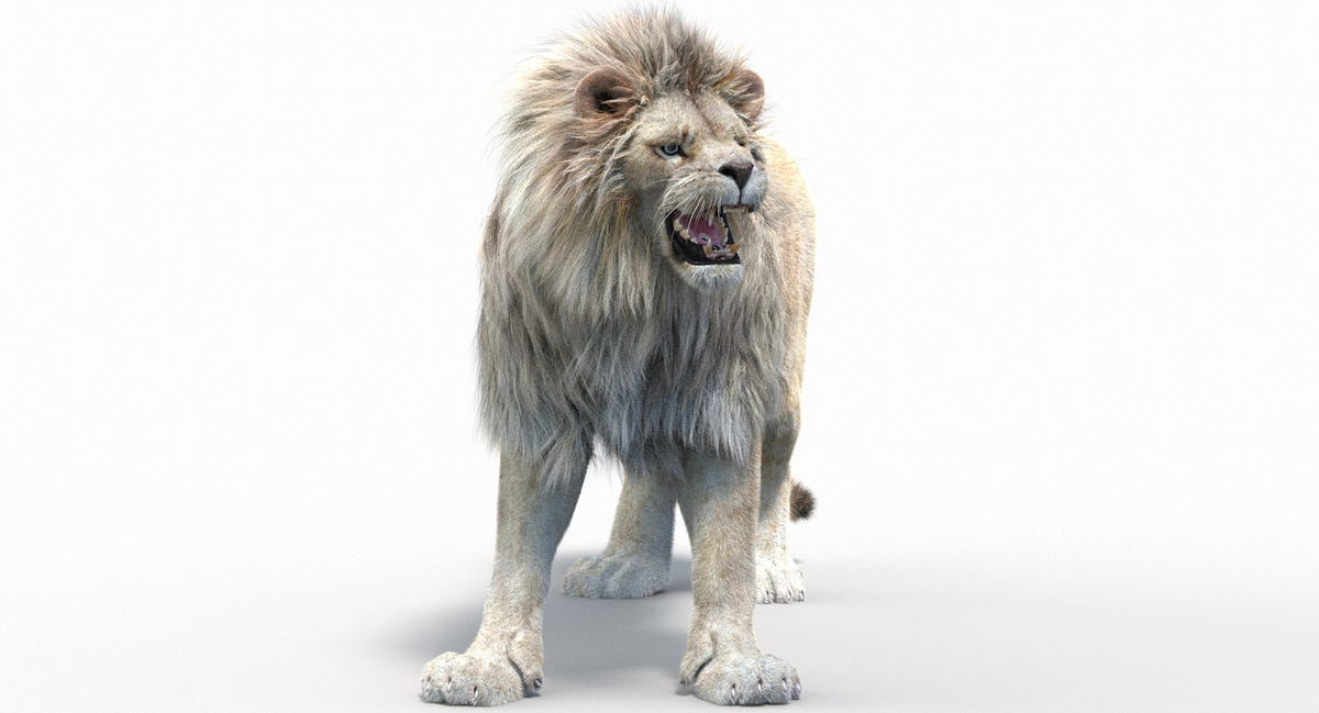 Realistic Animated White Lion 3D Model with Fur