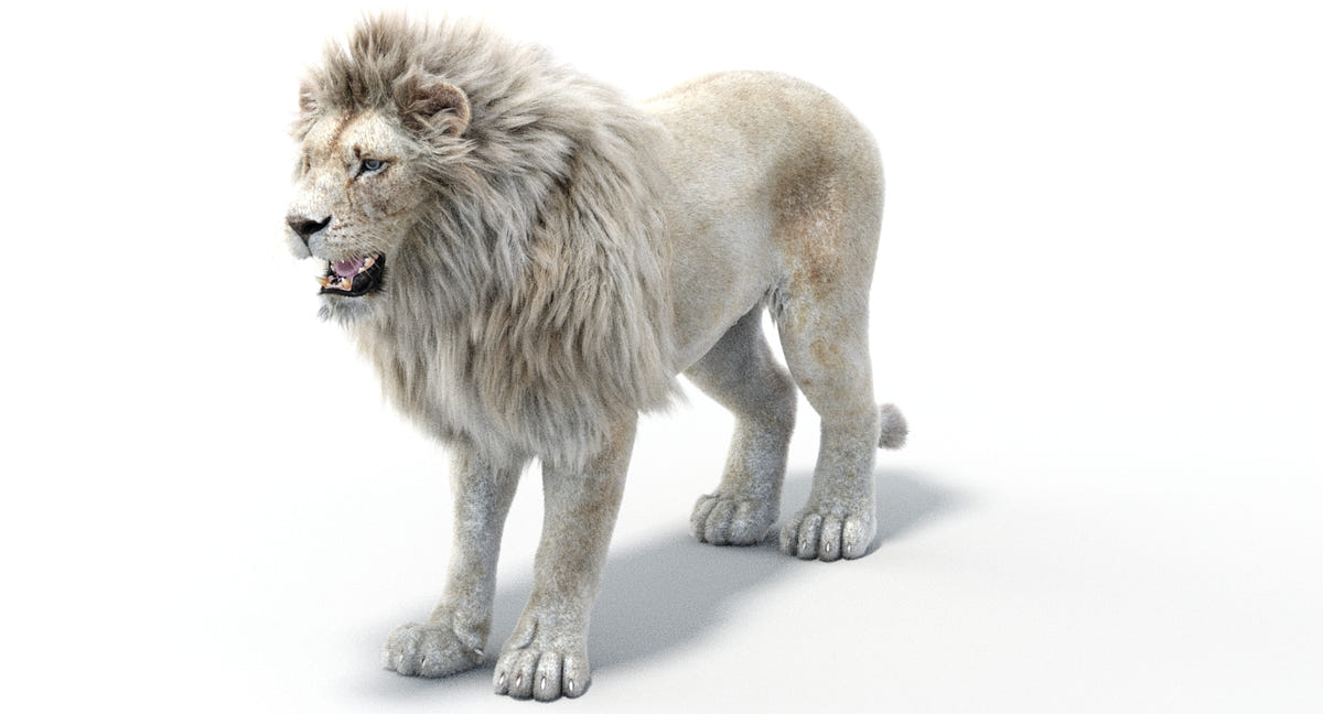 Realistic White Lion 3D Model with Fur for Download