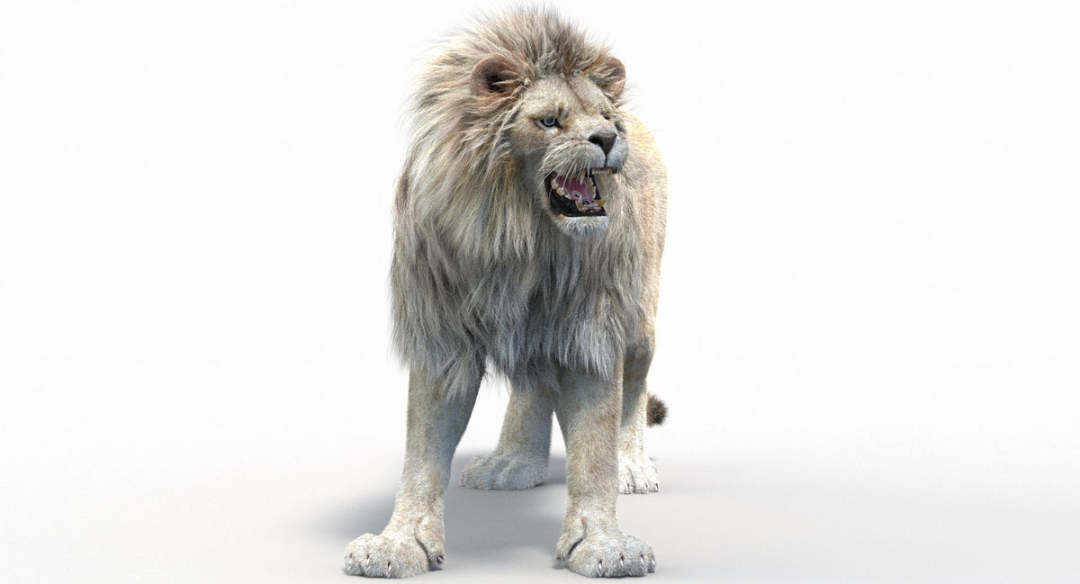 Rigged White Lion 3D Model with Realistic Fur