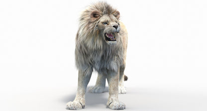 Rigged White Lion with Fur 3D Model