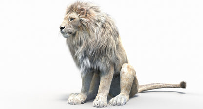 Rigged White Lion with Fur 3D Model