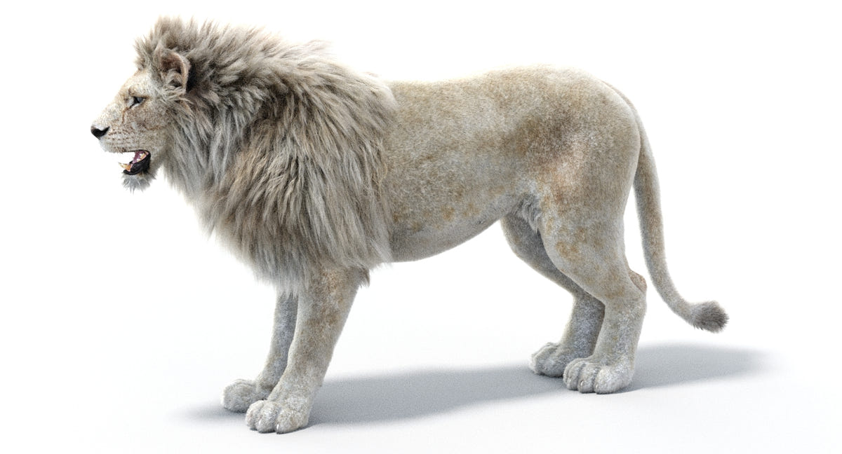 Realistic White Lion 3D Model with Fur for Download
