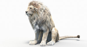 Lifelike White Lion 3D Model with Fur in Seated Pose Thumbnail