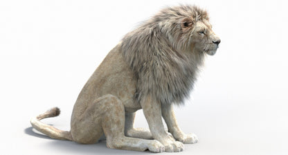 Rigged White Lion with Fur 3D Model