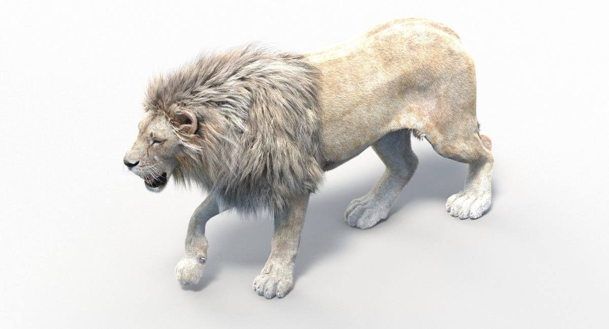 3D model of a lion walking on a white background