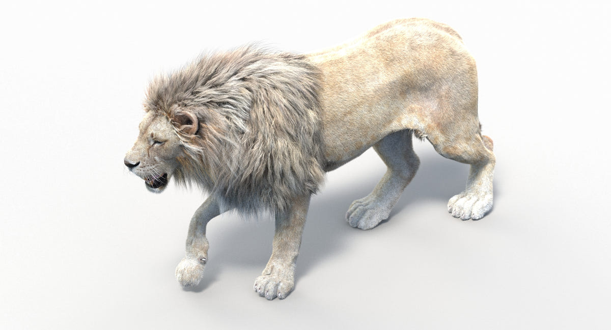 White Lion 3D Model Perspective View with Raised Camera Angle