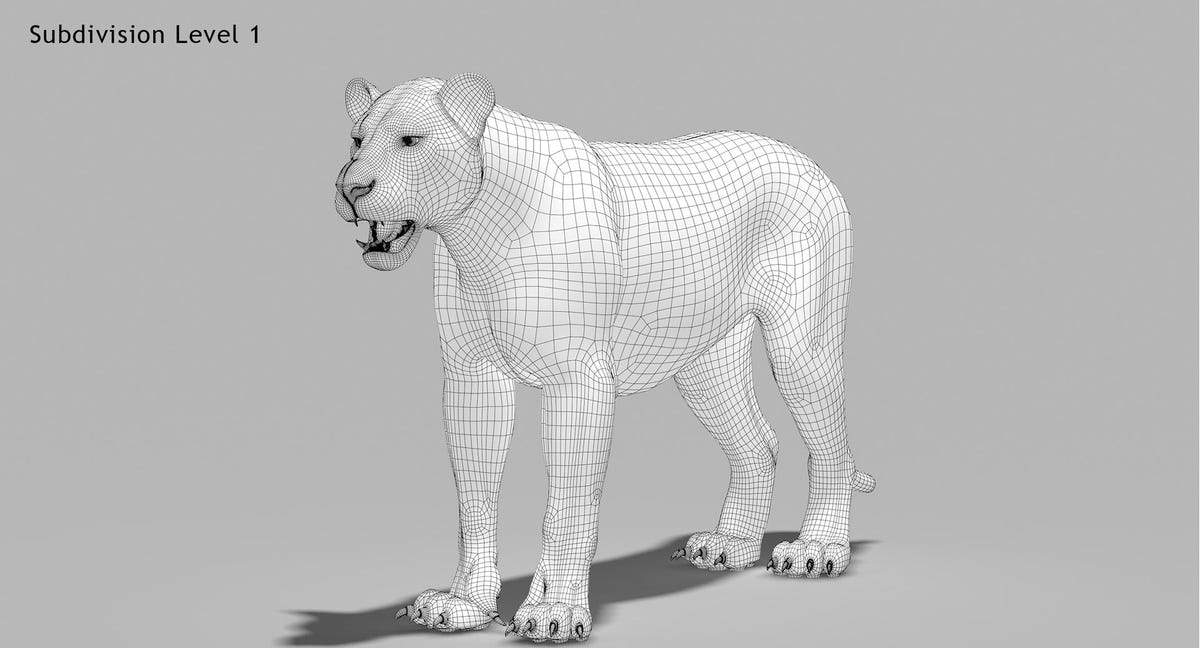 Rigged White Lion 3D Model Body Wireframe View Subdivision Level 1