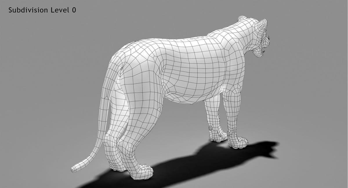 Rigged White Lion 3D Model Body Wireframe View Subdivision Level 0