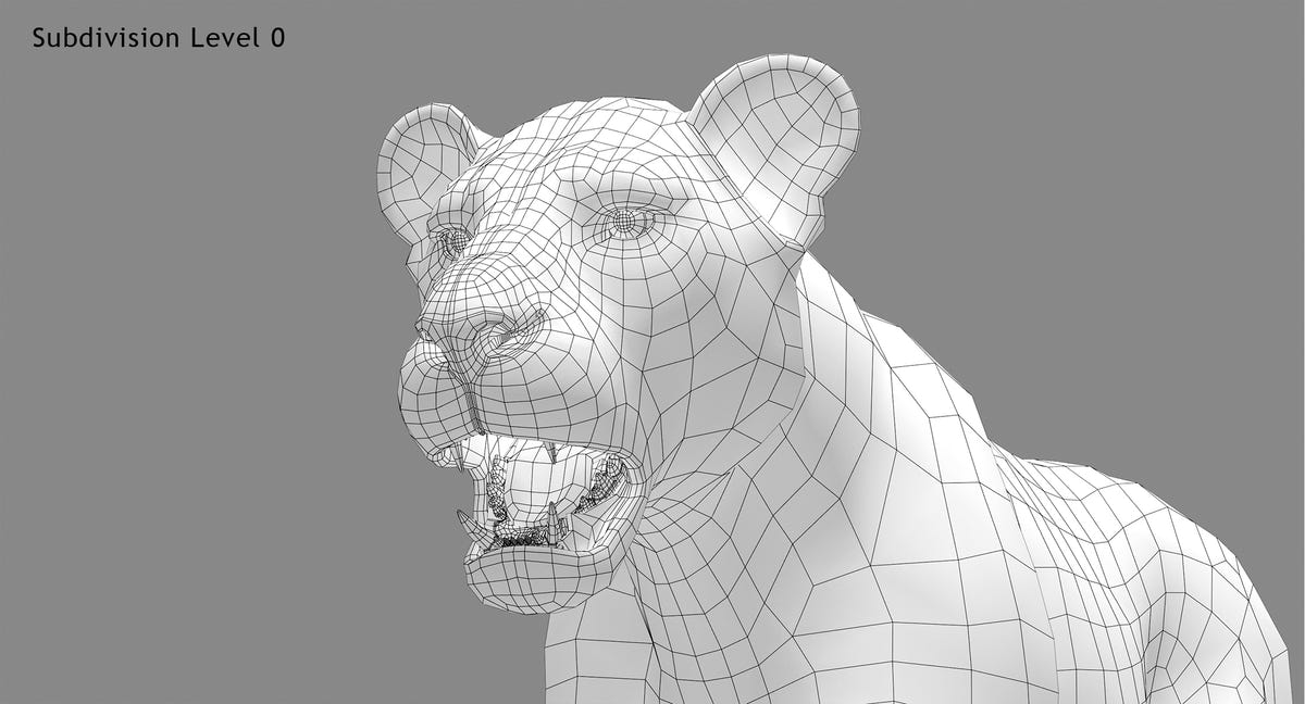 Lion 3D Model Head Wireframe Close-Up, Subdivision 0
