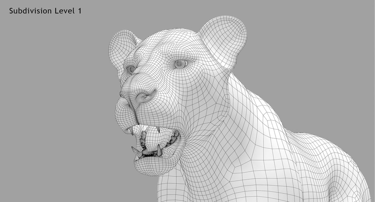 Lion 3D Model Head Wireframe Close-Up, Subdivision 1
