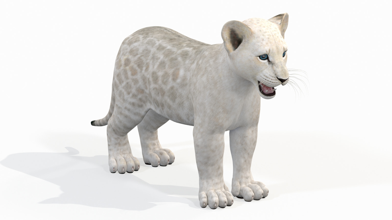 White Lion Cub 3D Model for Download