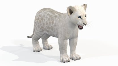 White Baby Lion 3D Model