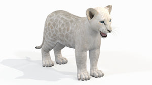 Realistic Lion Cub 3D Model for Download