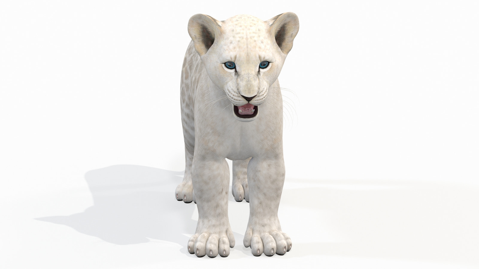 White Lion Cub 3D Model for Download