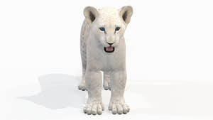Realistic Lion Cub 3D Model for Download Thumbnail