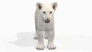 Realistic Lion Cub 3D Model for Download Thumbnail