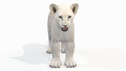 Realistic Lion Cub 3D Model for Download