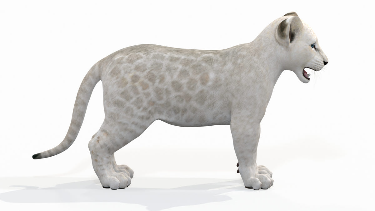 Lifelike White Lion Cub 3D Model for Download