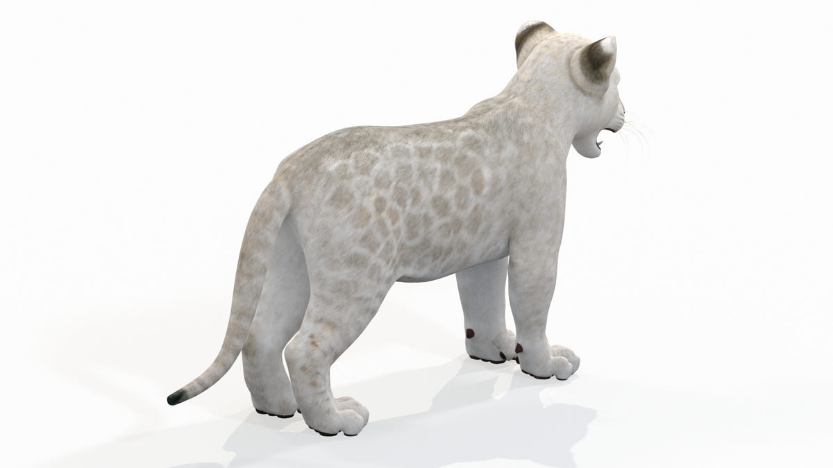 Realistic White Lion Cub 3D Model for Download