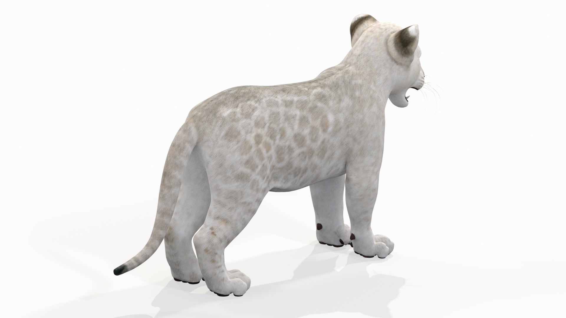 Lion Cub 3D Model Bundle – Natural & White