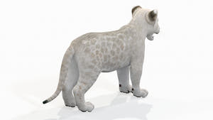 Lion Cub 3D Model Bundle – Natural & White Thumbnail