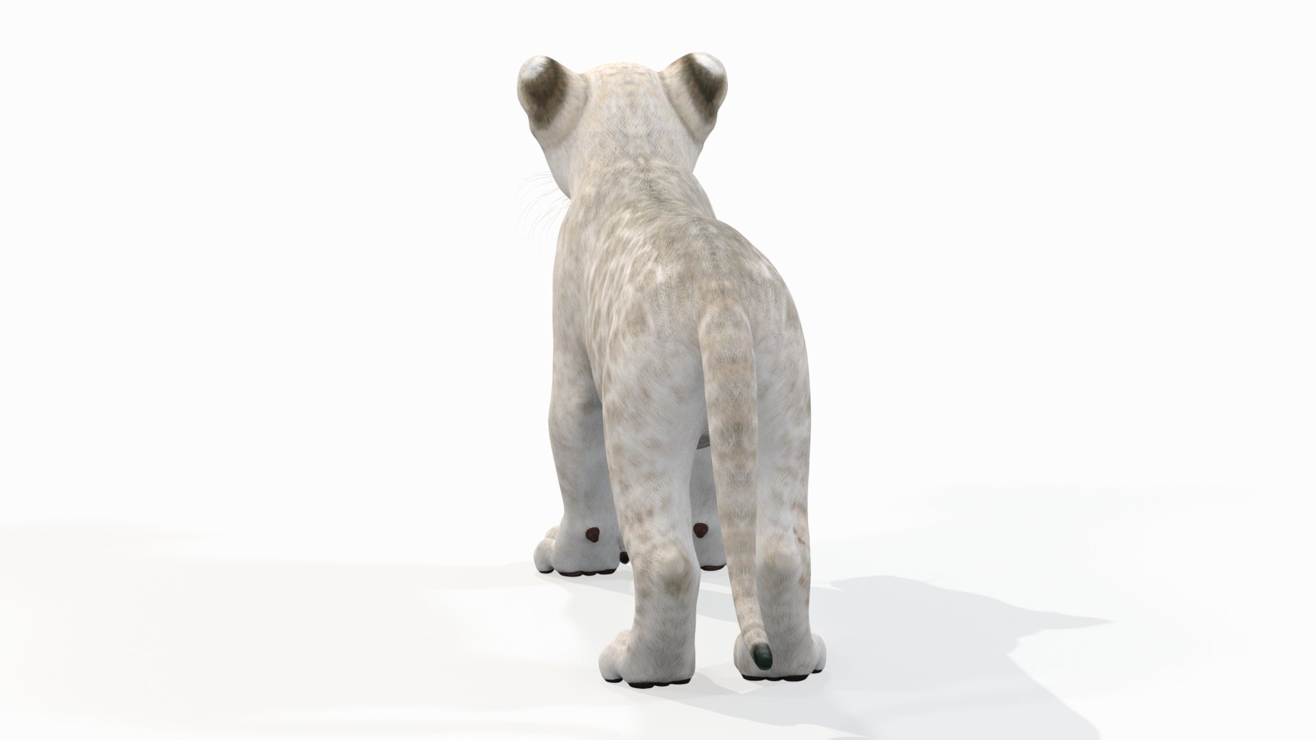 Lion Cub 3D Model Bundle – Natural & White