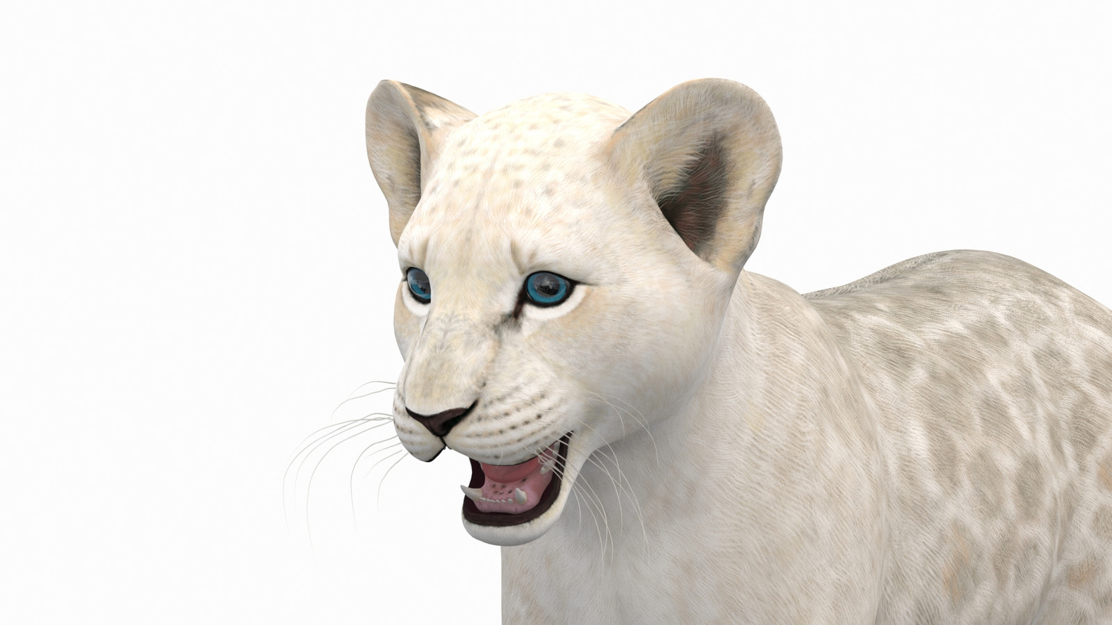White Lion Cub 3D Model for Download