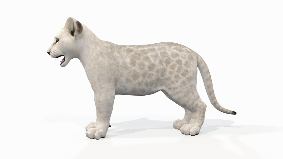 Lion Cub 3D Model Bundle – Natural & White - 360 Degree View