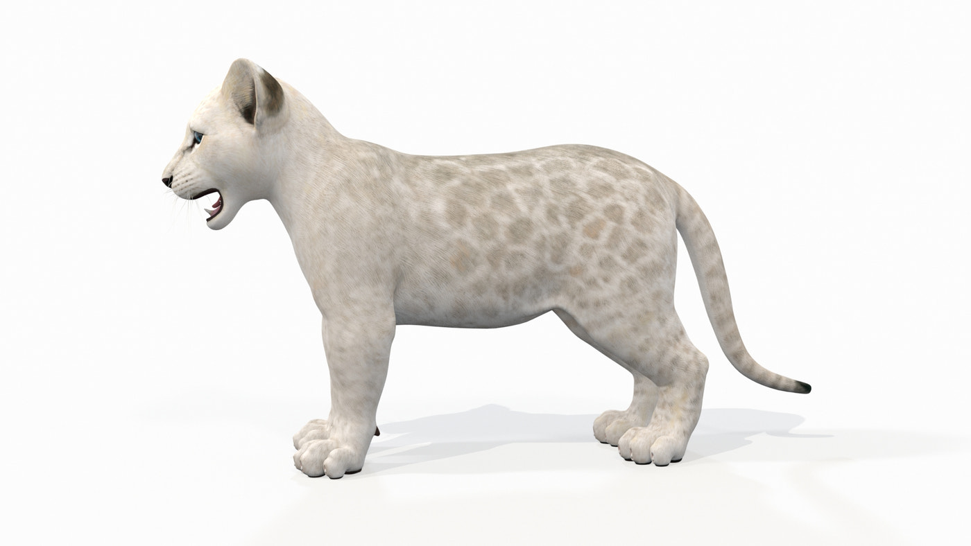 White Baby Lion 3D Model - 360 Degree View