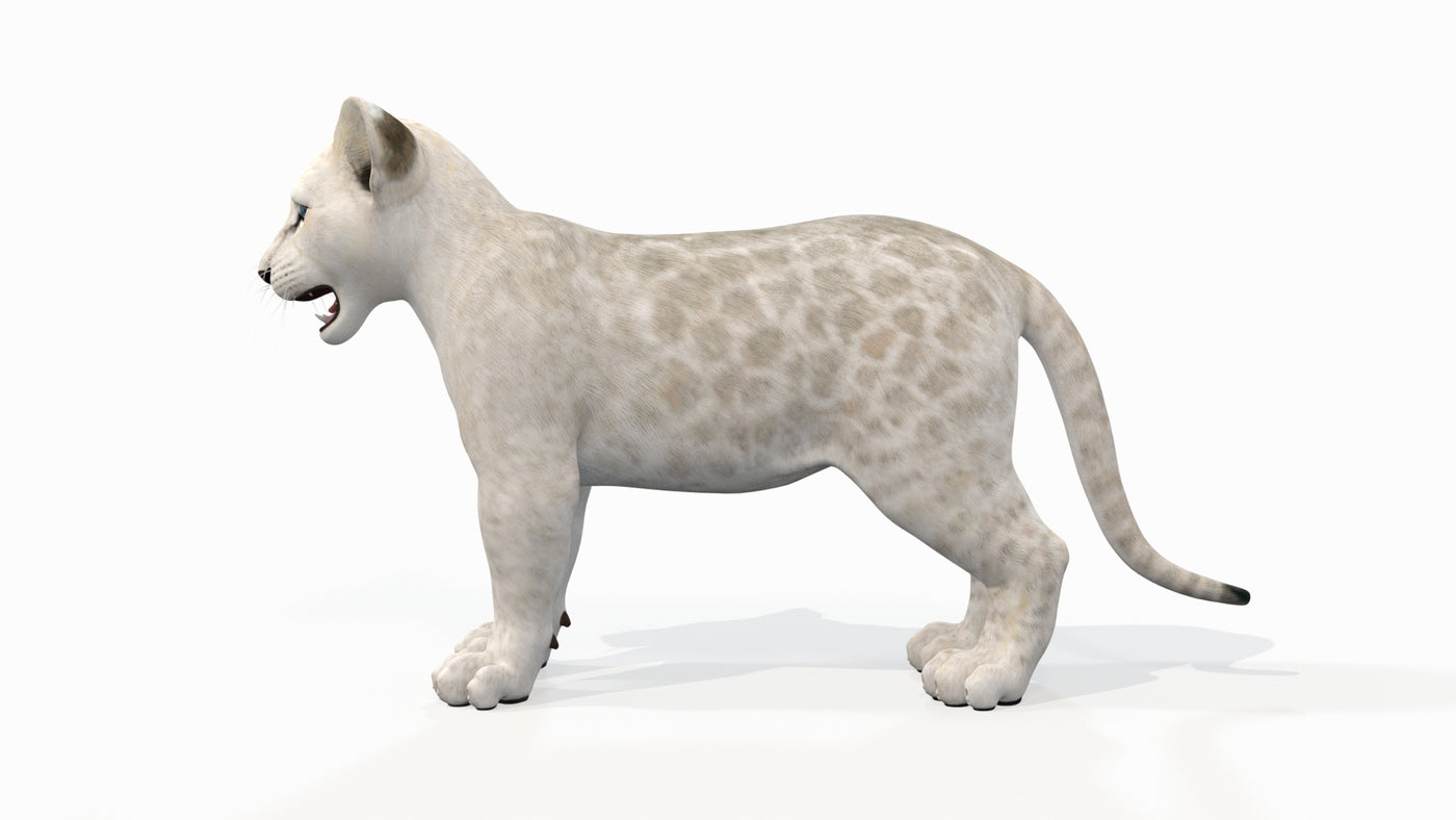 White Baby Lion 3D Model - 360 Degree View