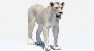 White Lioness 3D Model - Game-Ready Thumbnail
