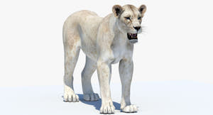 White Lioness 3D Model - Game-Ready Thumbnail