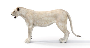 Realistic White Lioness 3D Model for Download Thumbnail