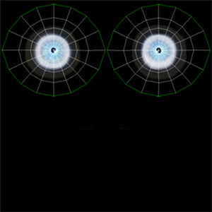 White Tiger 3D Model — Eyes UVs Thumbnail