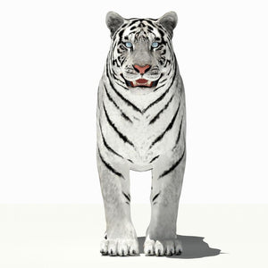 White Tiger 3D Model — Game-Ready Thumbnail