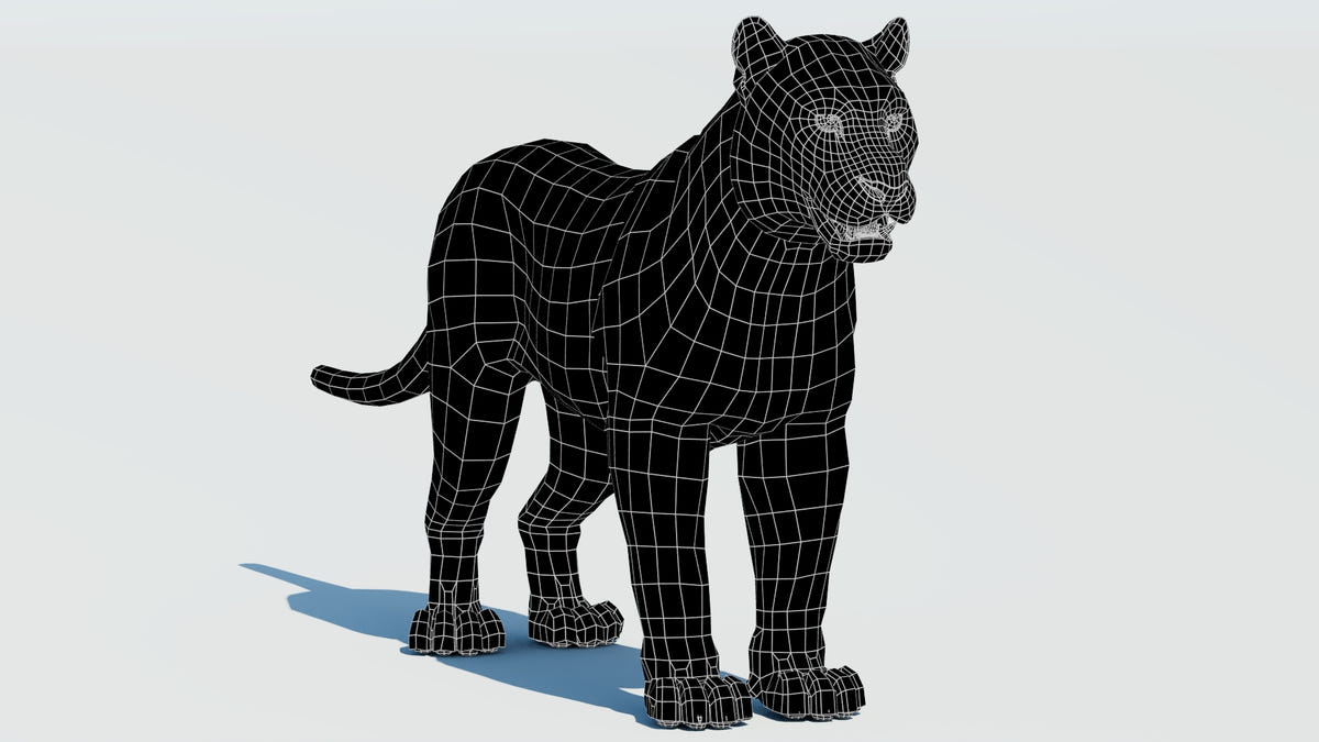 Siberian White Tiger 3D Model - Game-Ready