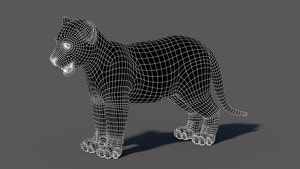 White Tiger Cub 3D Model with Groomed Hair Thumbnail