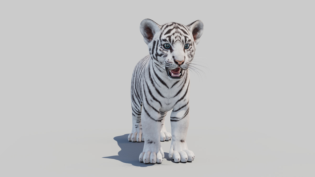 White Tiger Cub 3D Model - 360 Degree View