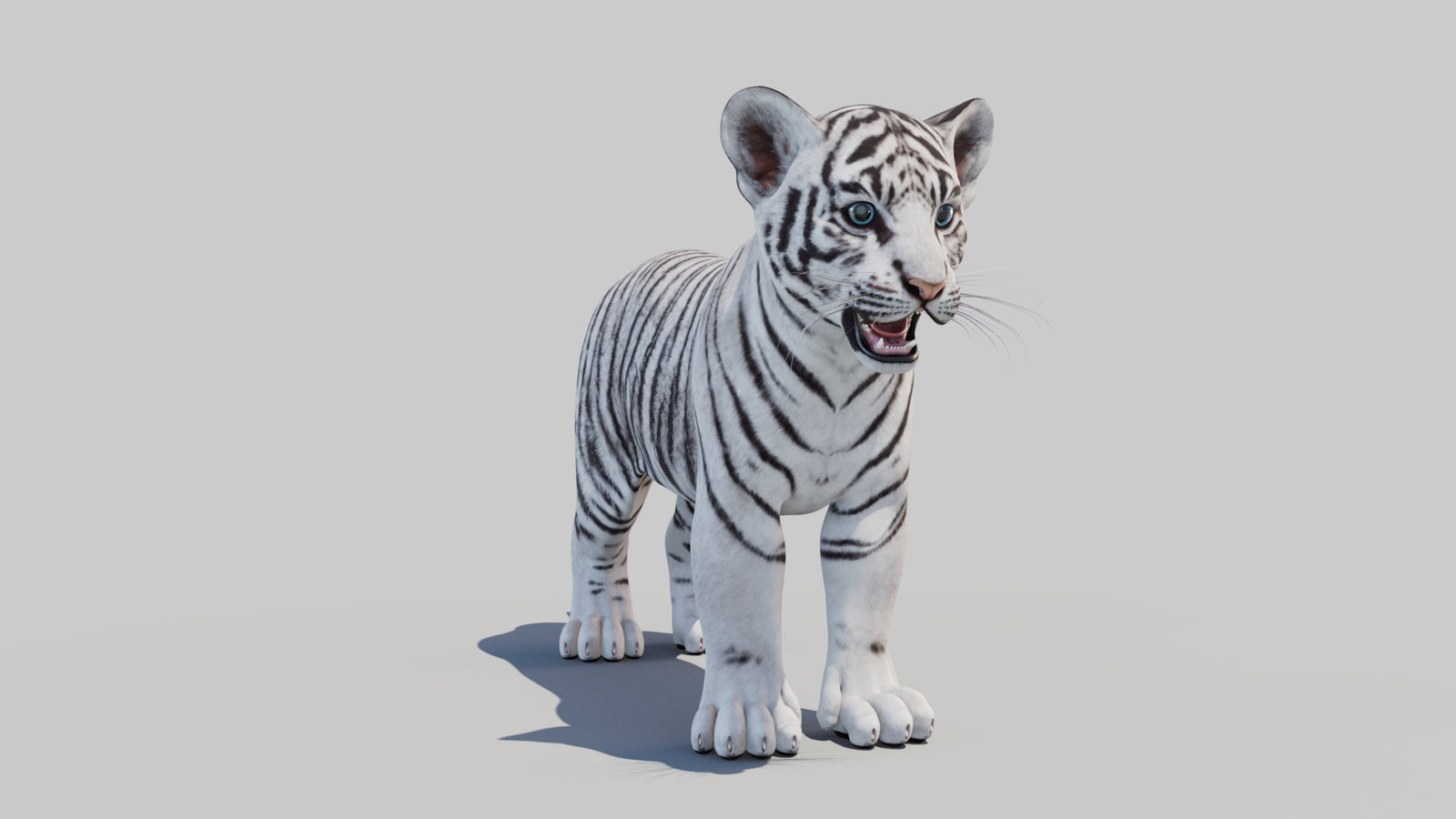 White Tiger Cub 3D Model 360° view 1 frame 2