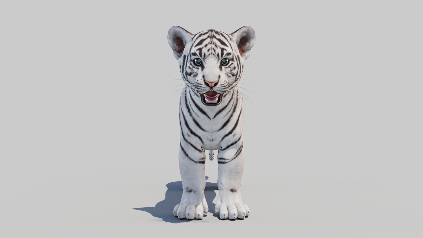 White Tiger Cub 3D Model - 360 Degree View