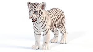 White Tiger Cub 3D Model for Download Thumbnail