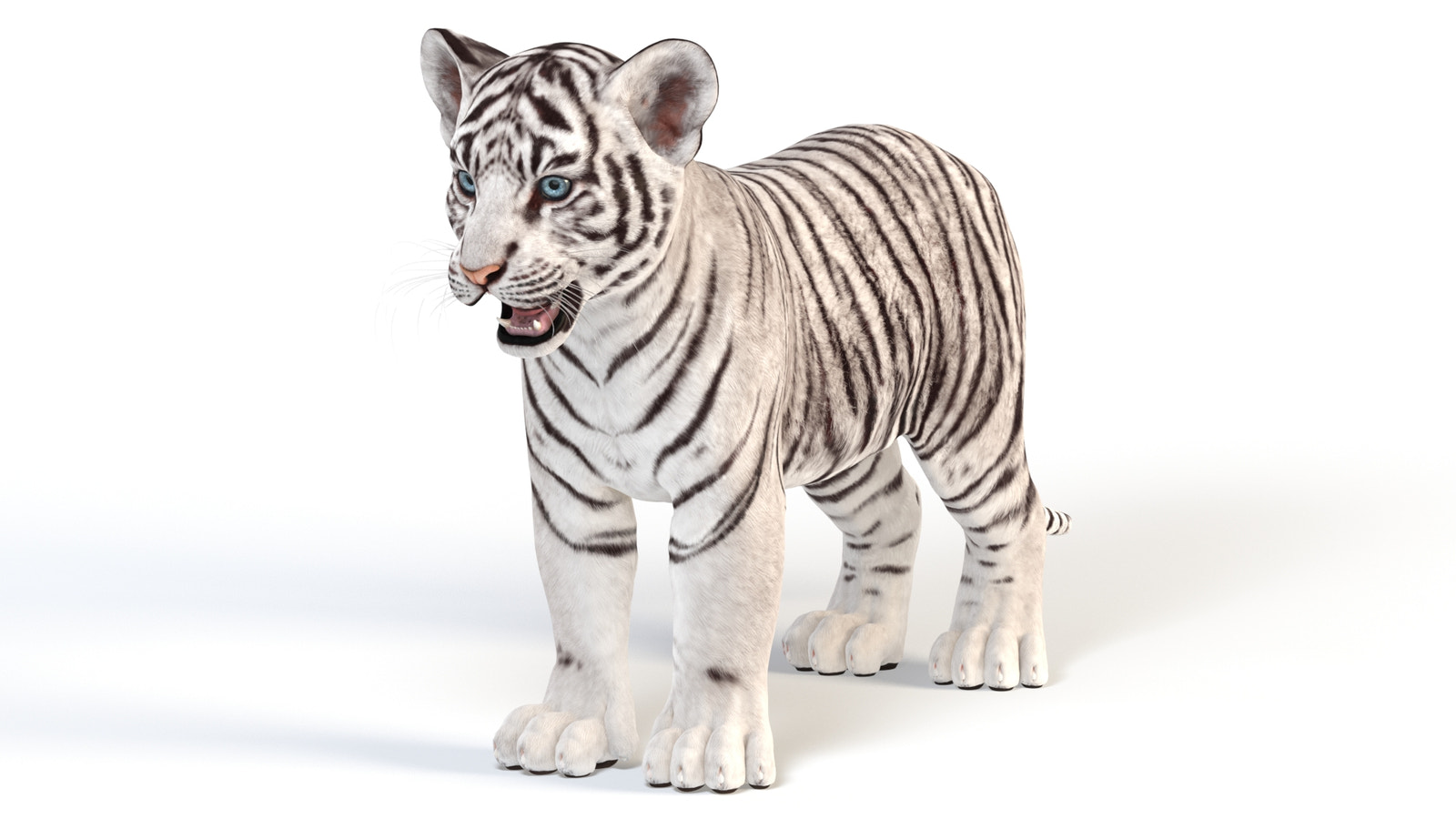 Realistic White Tiger Cub 3D Model for Download