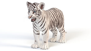 Realistic White Tiger Cub 3D Model for Download Thumbnail