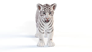 Realistic White Tiger Cub 3D Model for Download Thumbnail