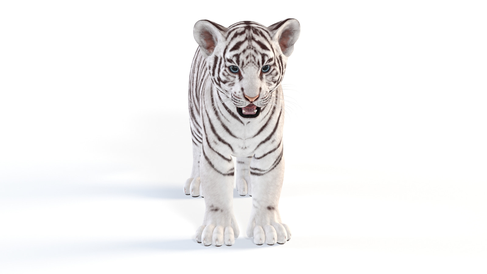 Realistic White Tiger Cub 3D Model for Download